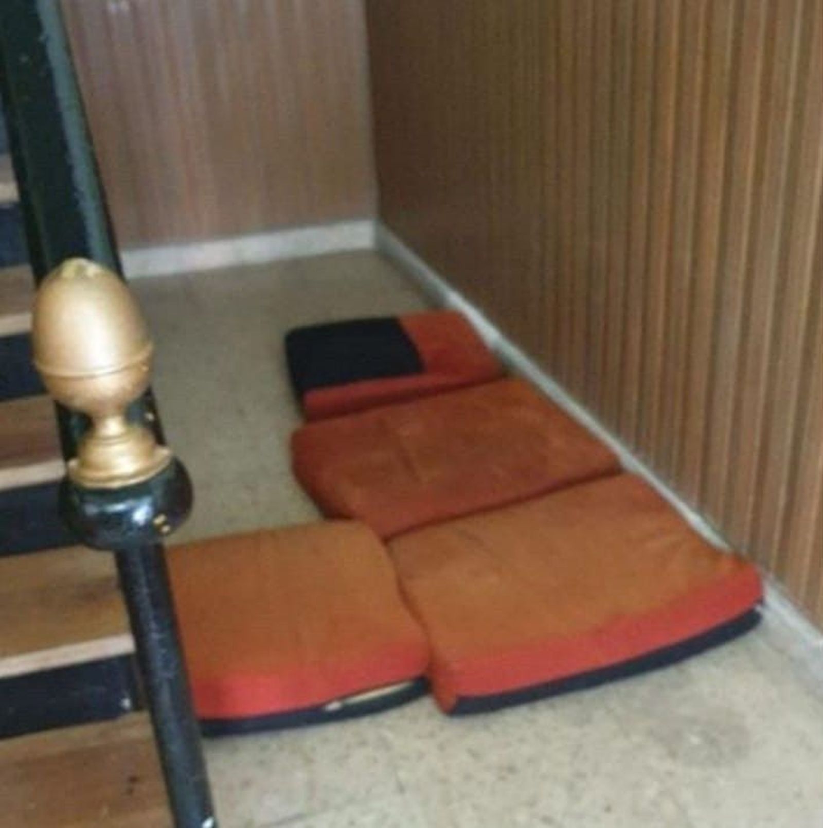 Albergue benavente acto vandalico