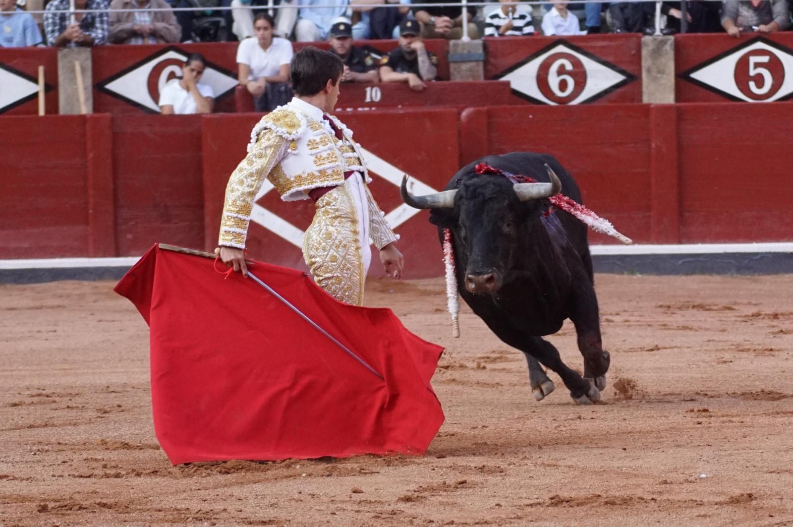 corrida-concurso-momentos-mas-destacados-del-ultimo-festejo-de-abono-de-la-feria-taurina-virgen-de-la-vega-2024-fotos-carlos-h-g-y-juanes-13