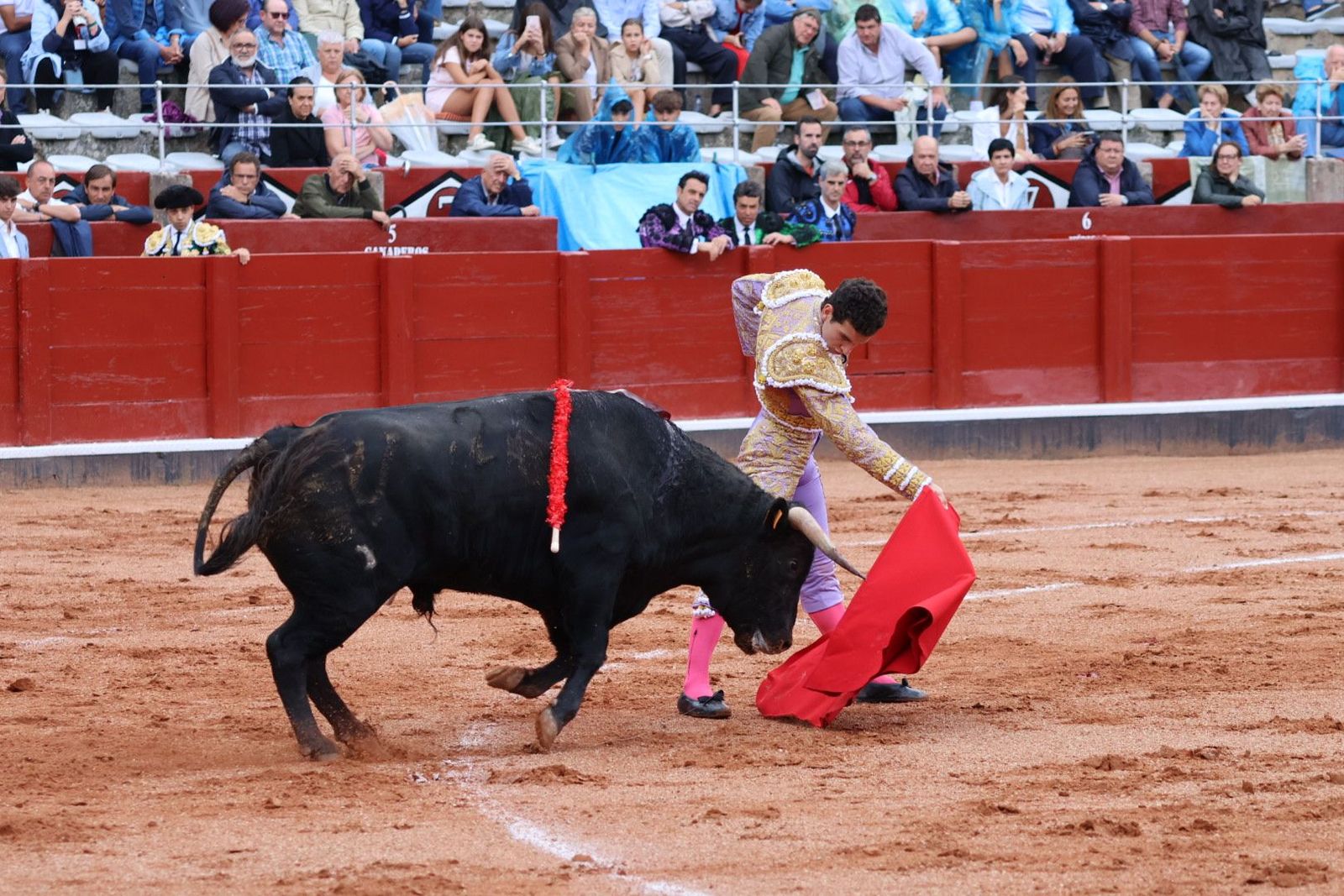 20230915171802-img-3869