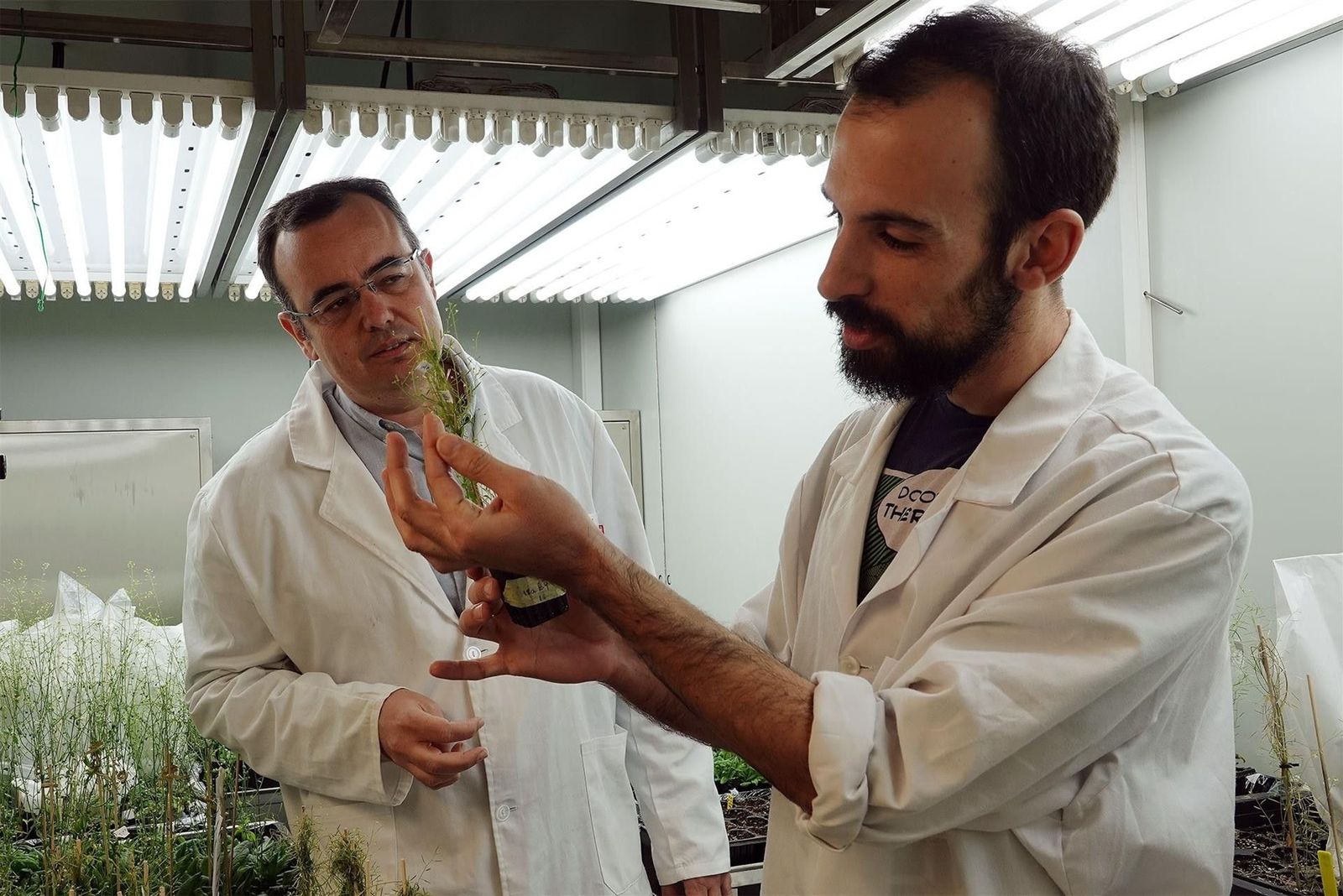 Fotonoticia 20190704193431 1920