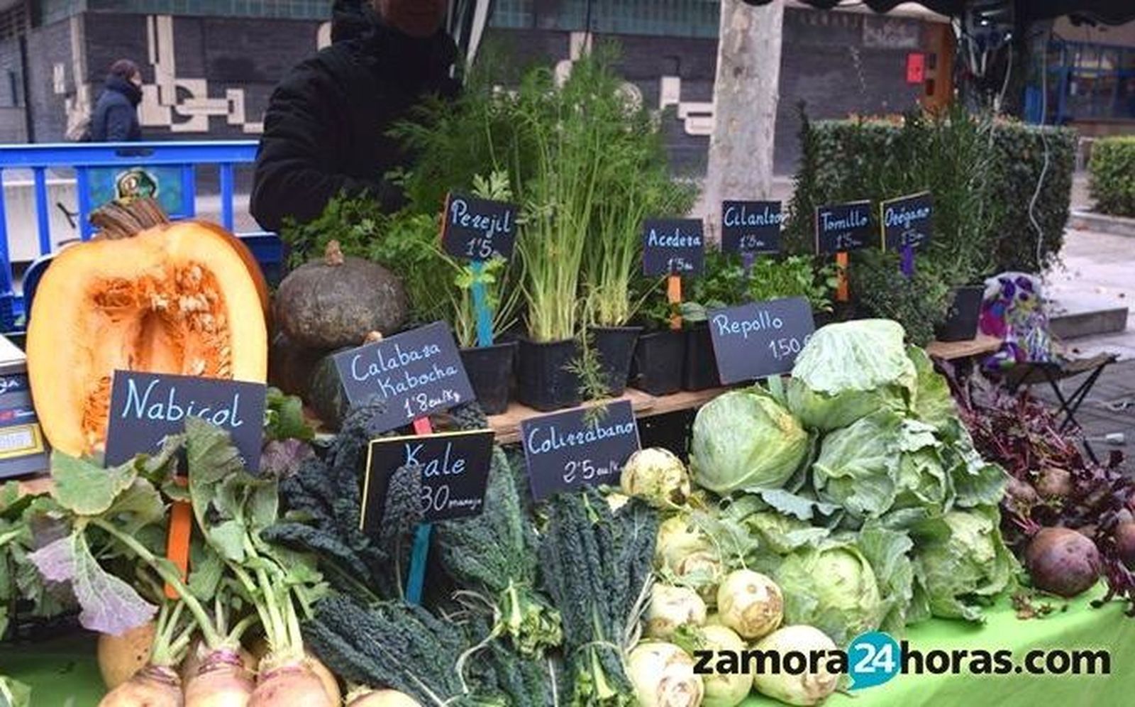 El Parque de la Marina acoge este sábado un nuevo Mercado Ecológico