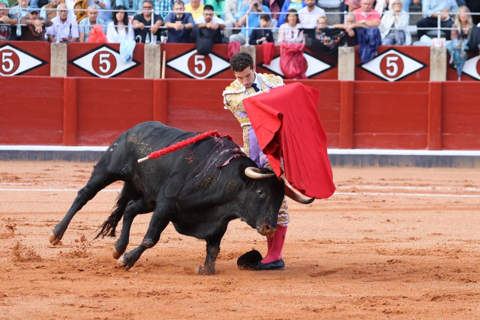 20230915182654-img-4100