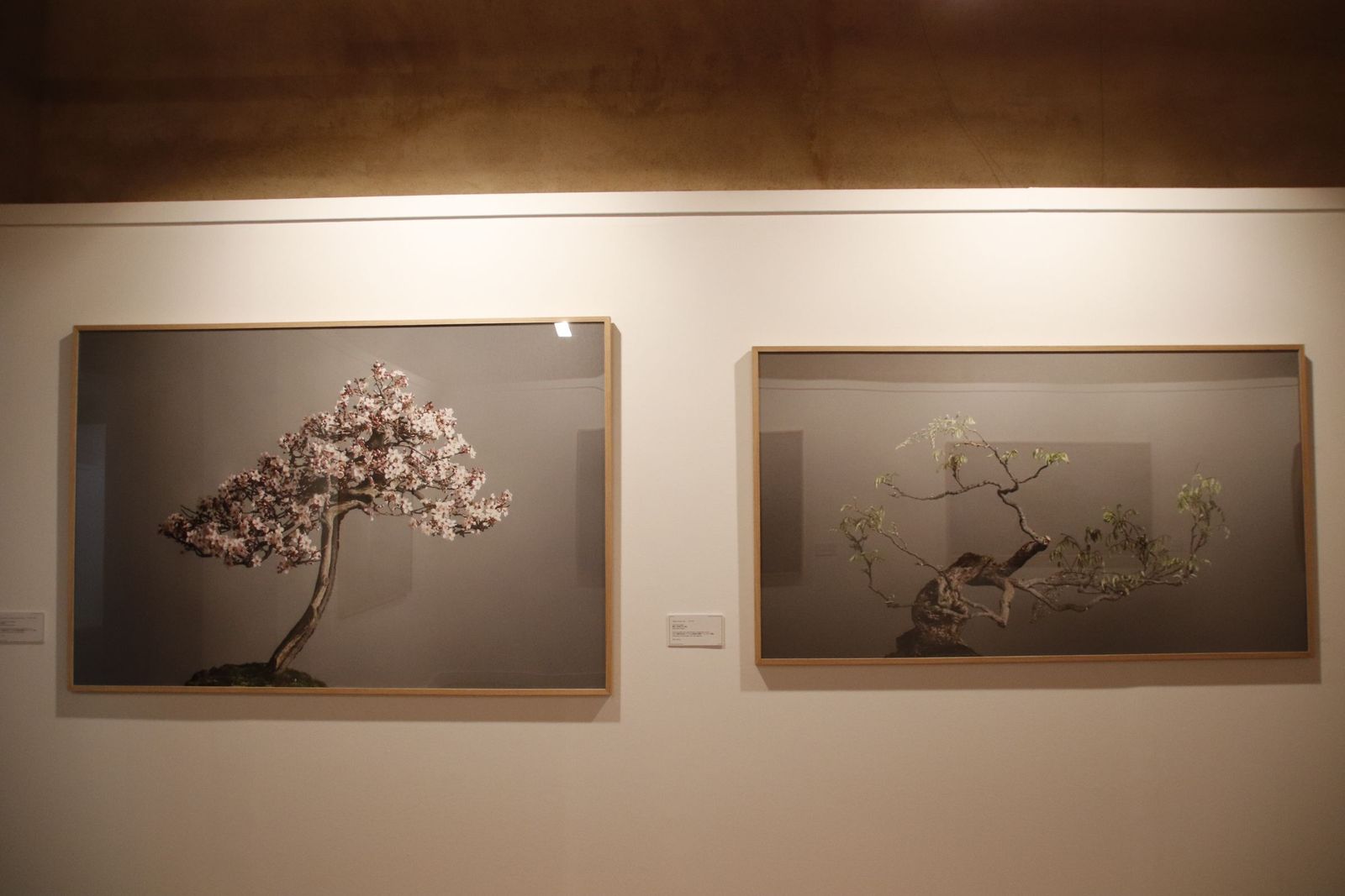 20220120105822-mg-4485