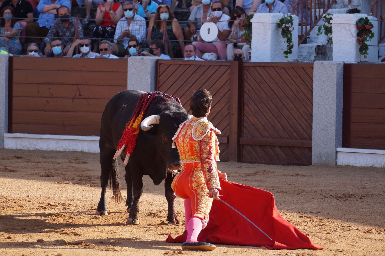 toros-en-guijuelo-15-de-agosto-11