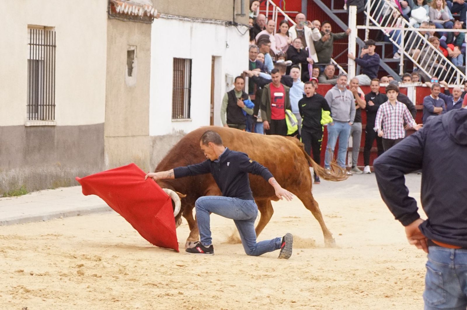 Villoria, toro del Voto