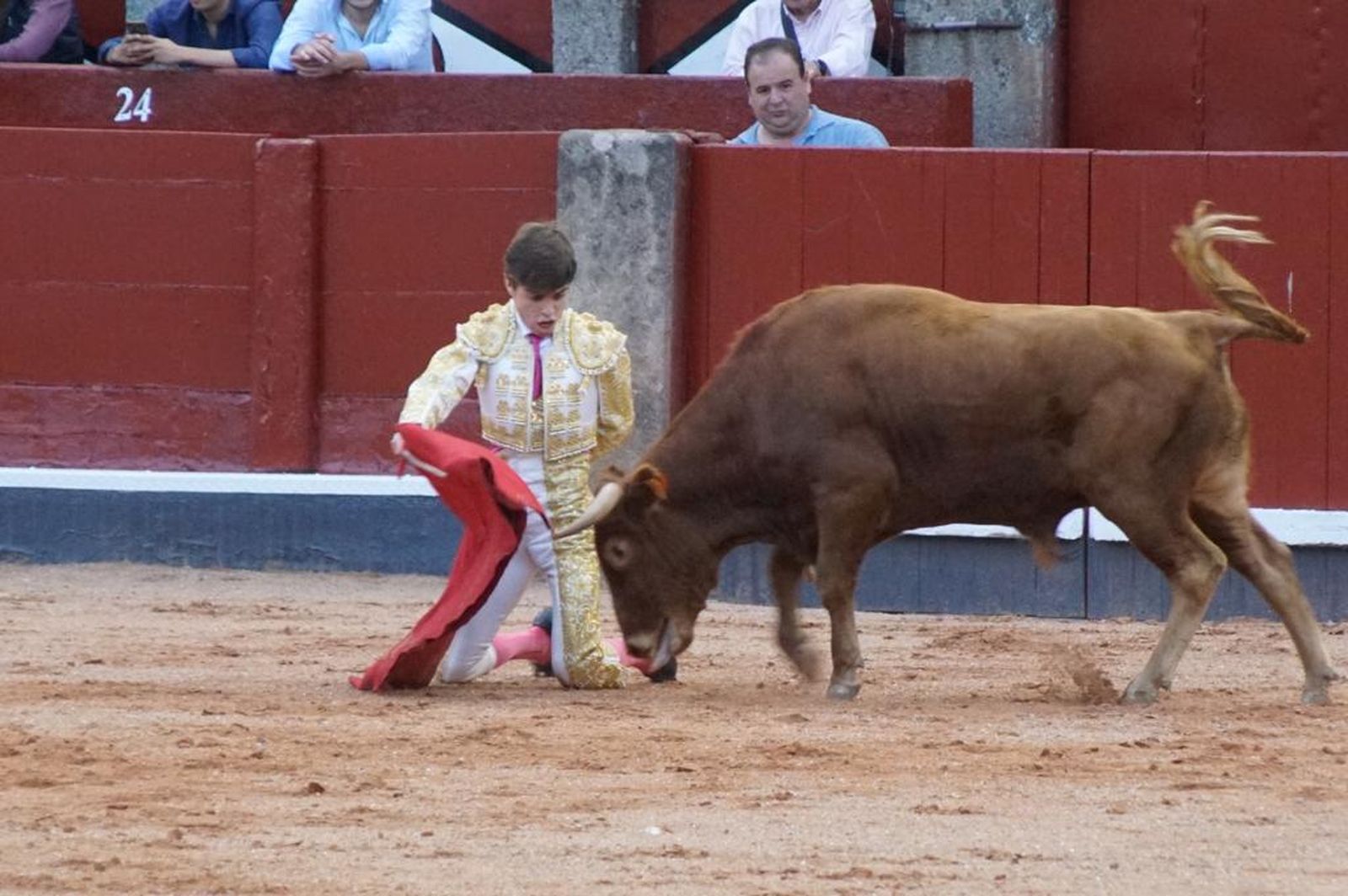 whatsapp-image-2023-09-08-at-21-25-03-3