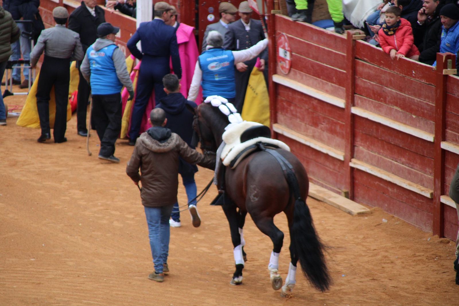 whatsapp-image-2025-03-02-at-16-55-44-1