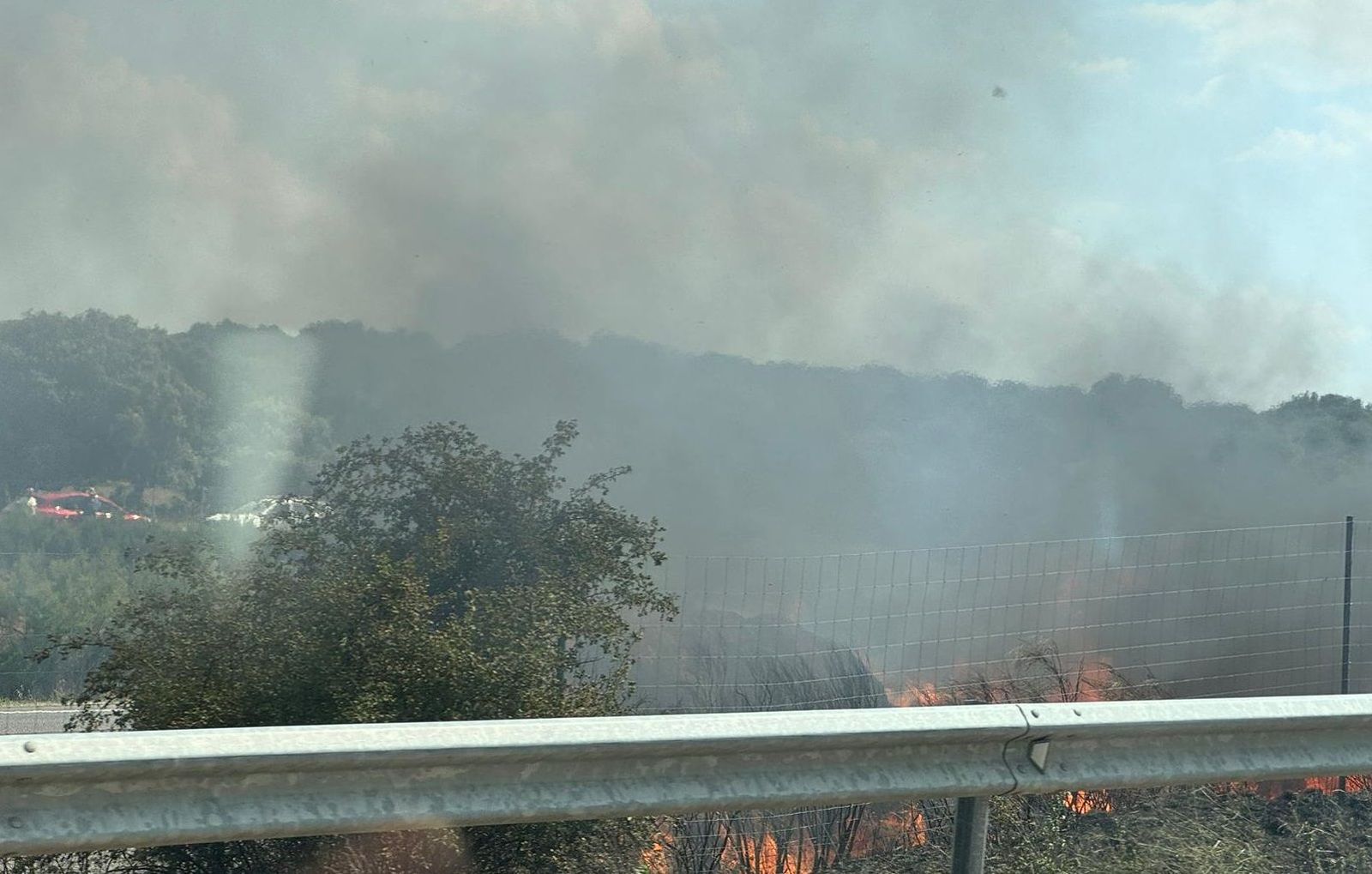 imagen-de-whatsapp-2024-07-05-a-las-16-56-49-f7f2ccdc