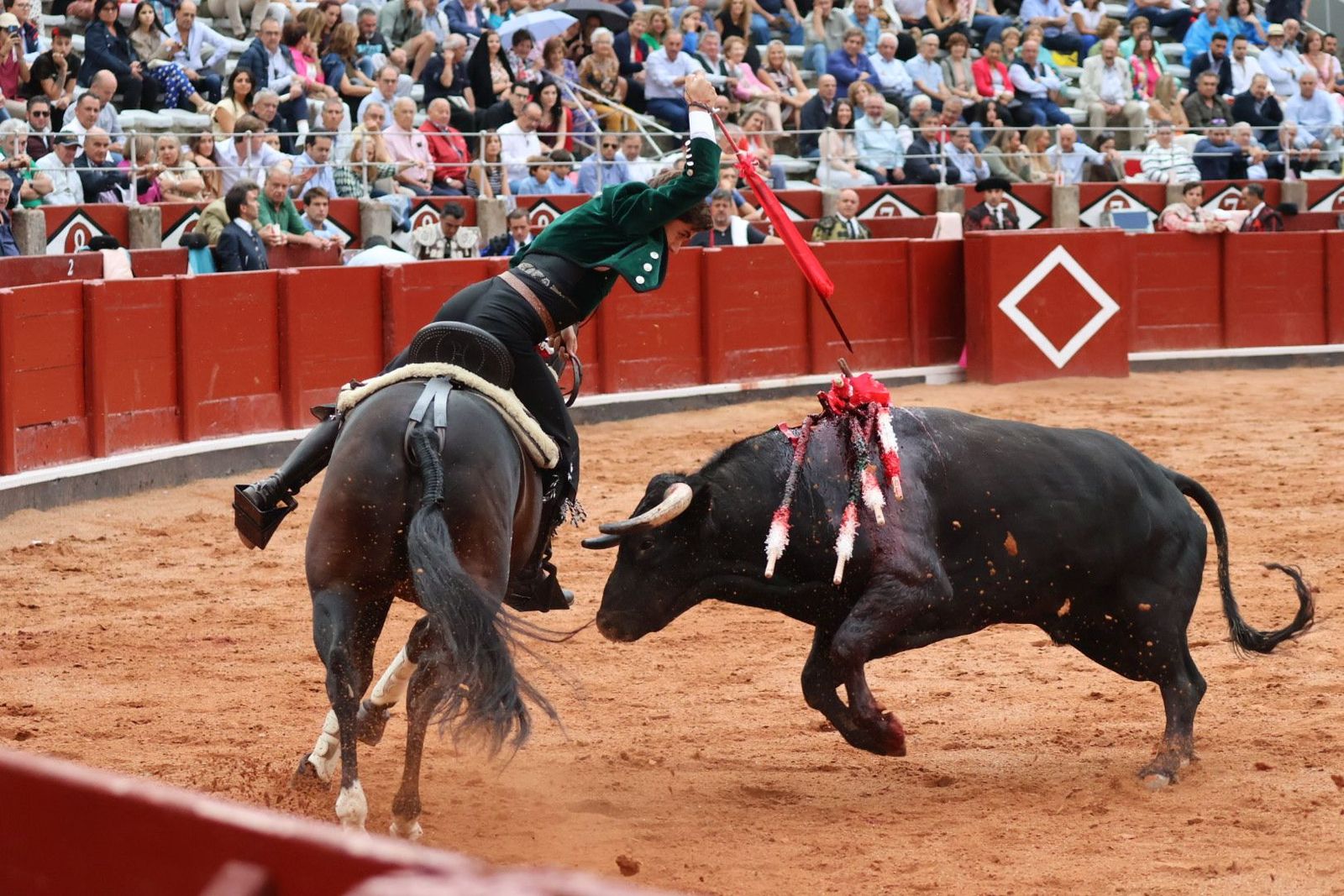 20230909190834-img-0807