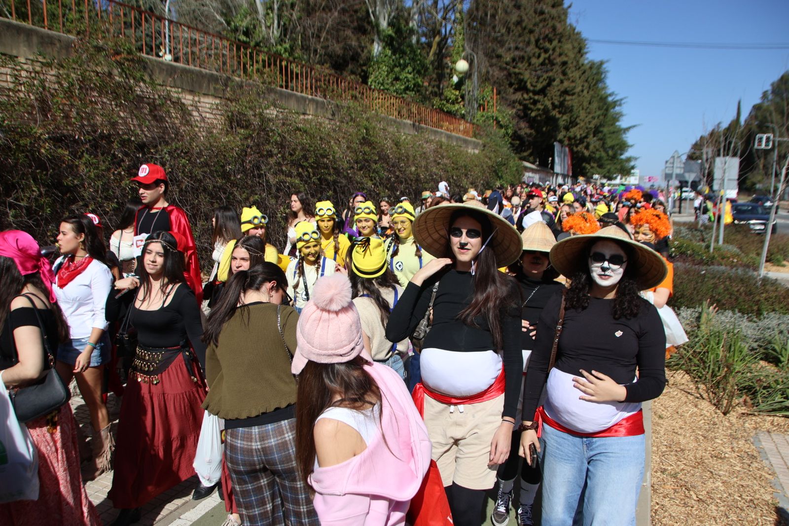 Fiestas facultad de psicología