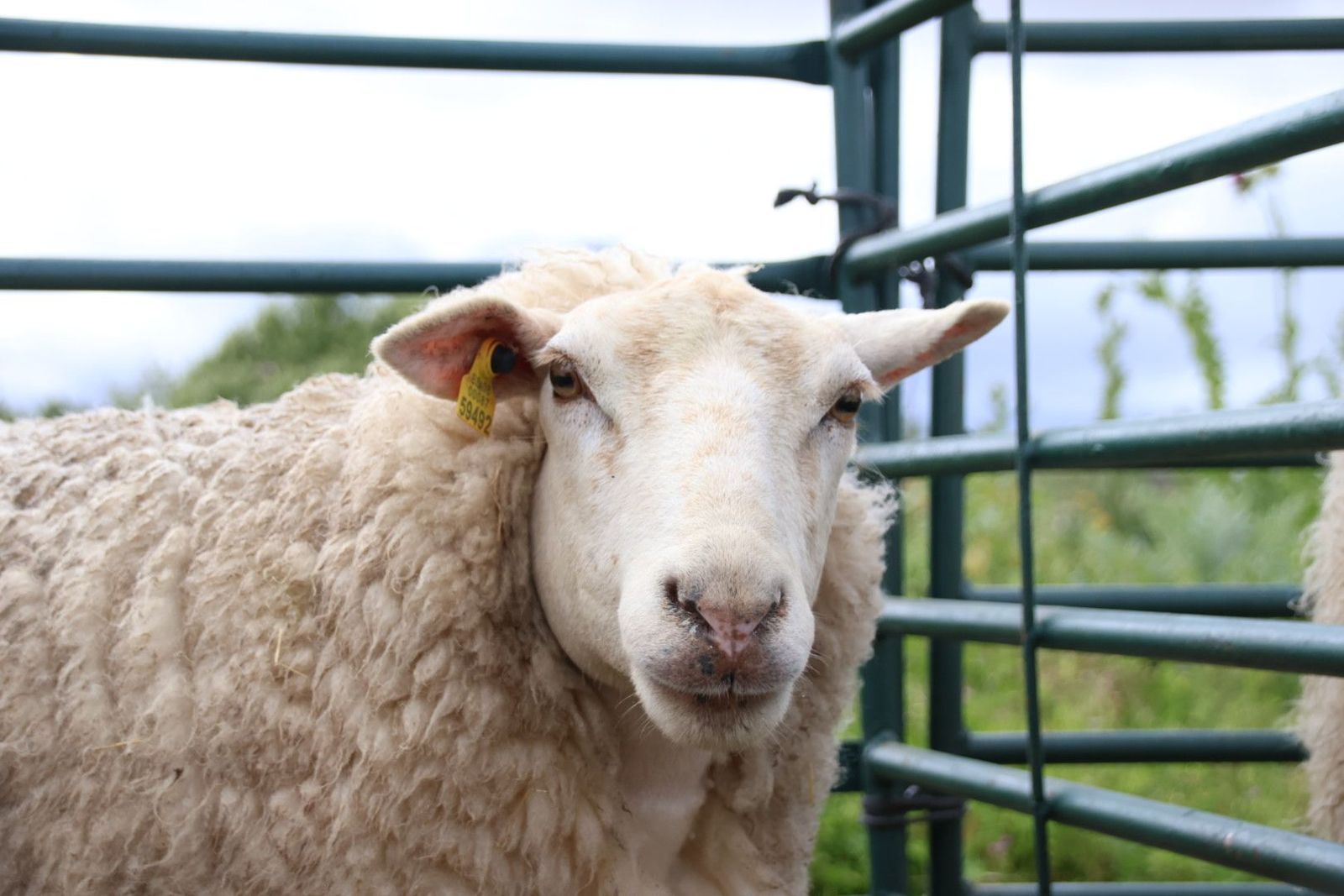 20240501103618-img-2932