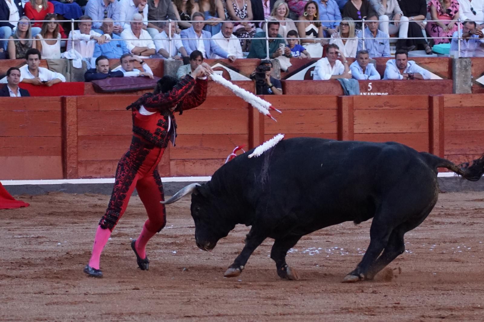 Emilio de Justo, Juan Ortega y Roca Rey inauguran el cartel de figuras en la feria de Salamanca: la corrida de Garcigrande en imágenes