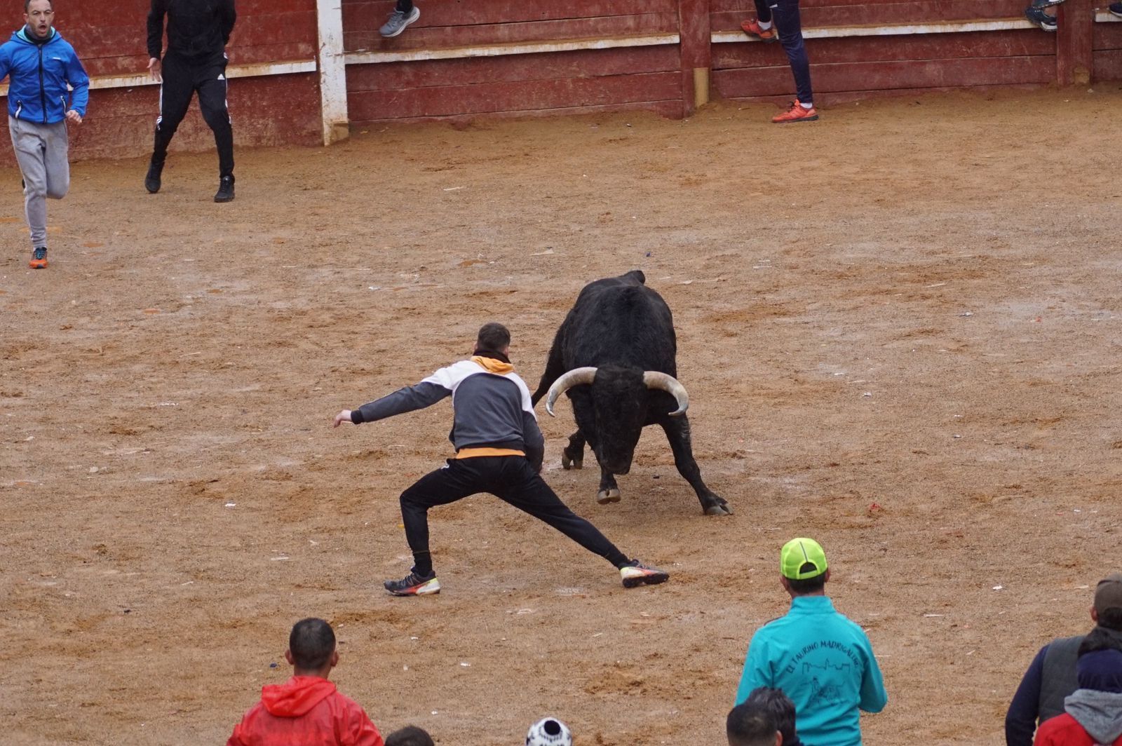 whatsapp-image-2024-02-11-at-14-02-38