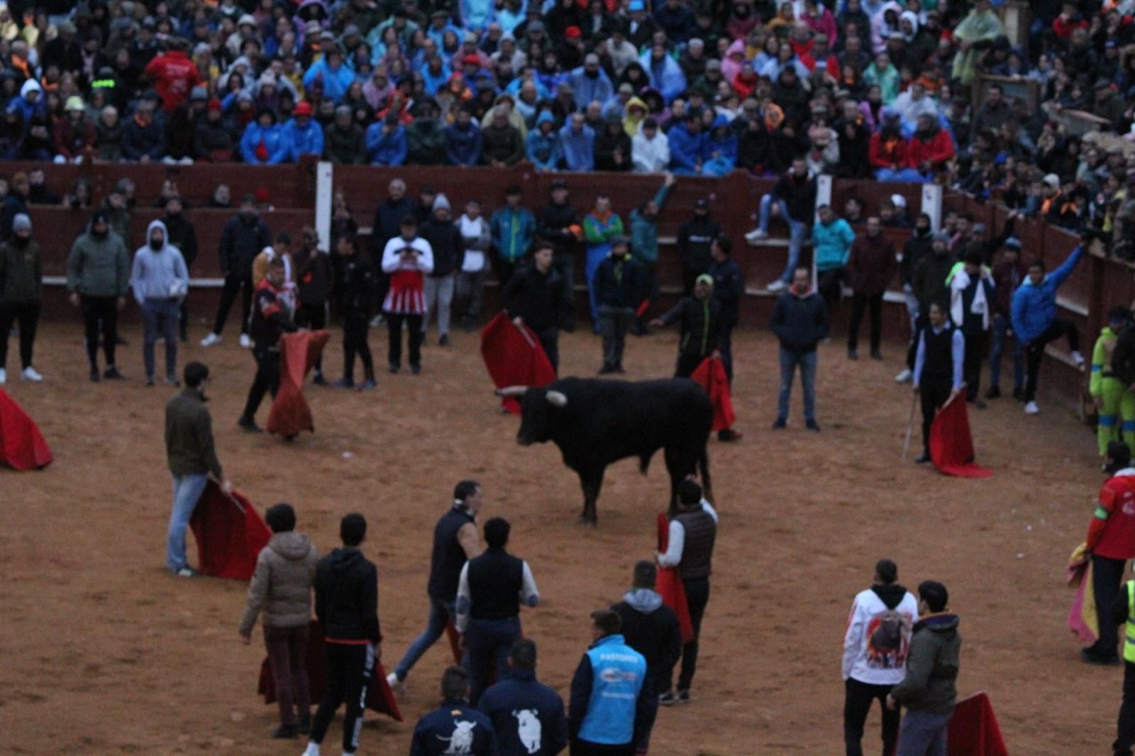 ambiente-y-capea-vespertina-sabado-de-carnaval-en-ciudad-rodrigo-2025-fotos-belen-hurtado-16