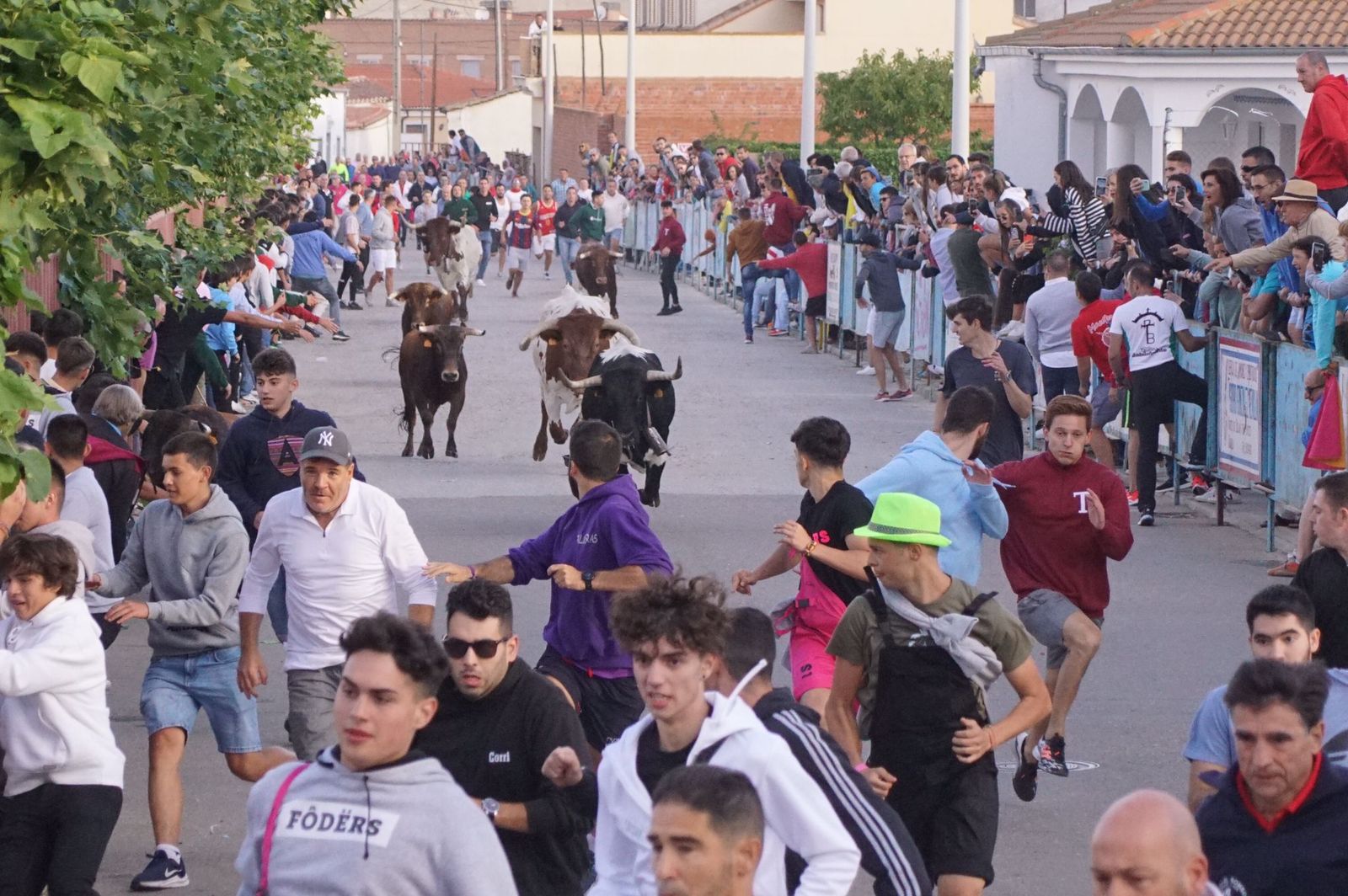 73cdb692-3f49-49c4-982f-c67aeca98a46