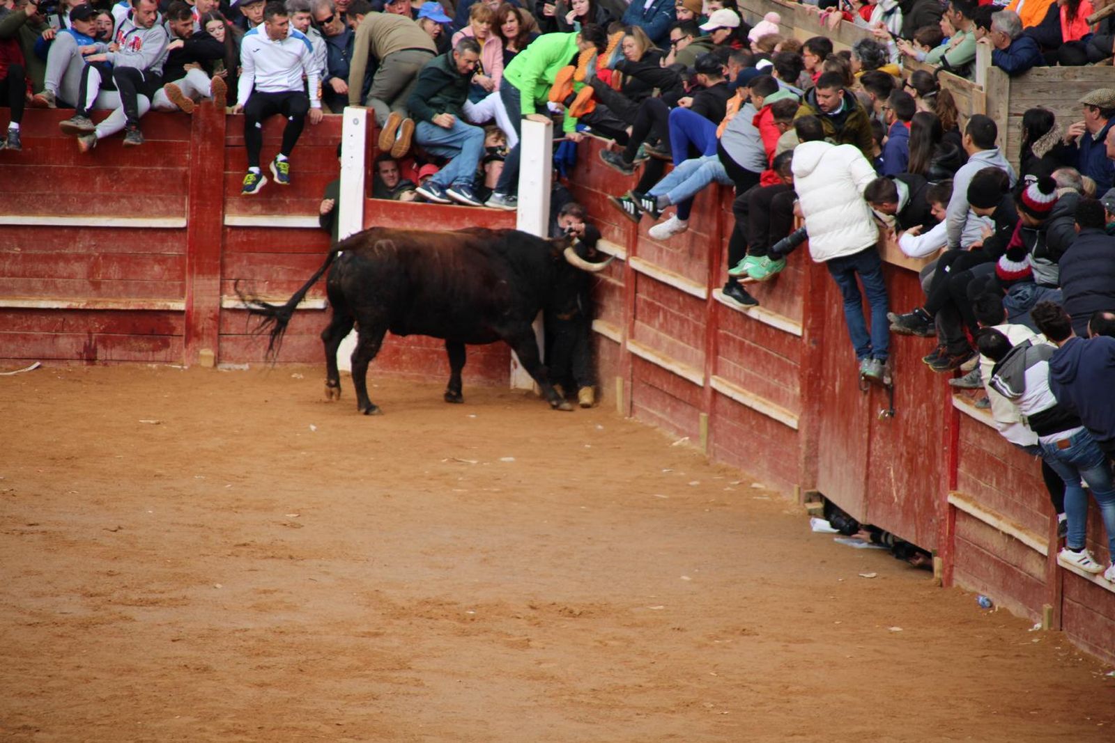 capea-matutina-del-martes-de-carnaval-8