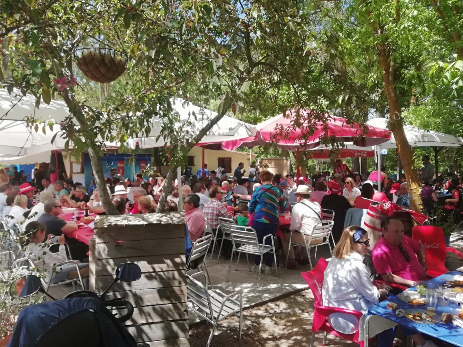 WhatsApp Image 2019 05 01 at 15.17.40