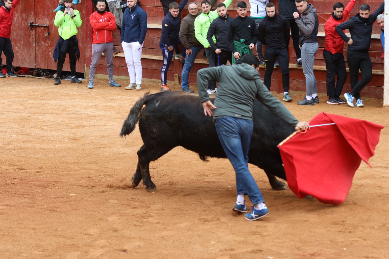 Mañana de capea de lunes en el Carnaval del Toro 2026