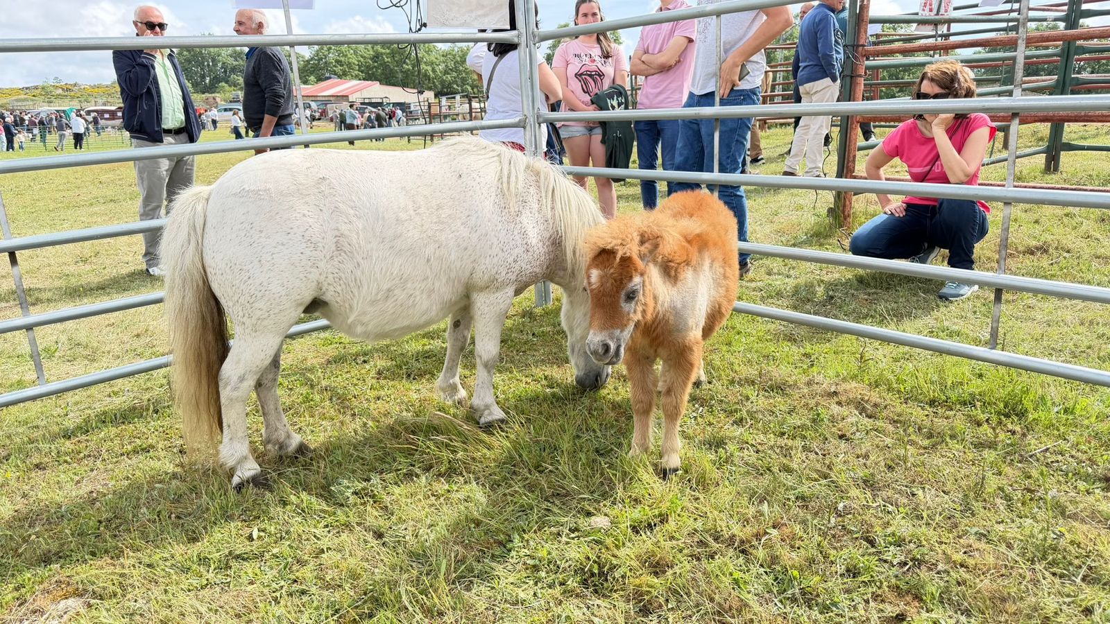 Feria Barruecopardo 1 de mayo 2026