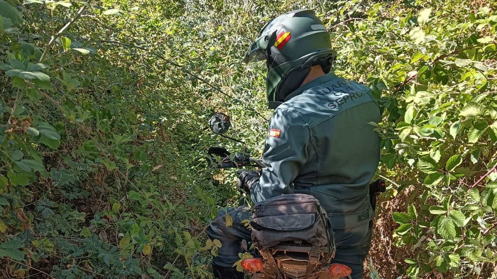 Seprona Guardia Civil de Salamanca