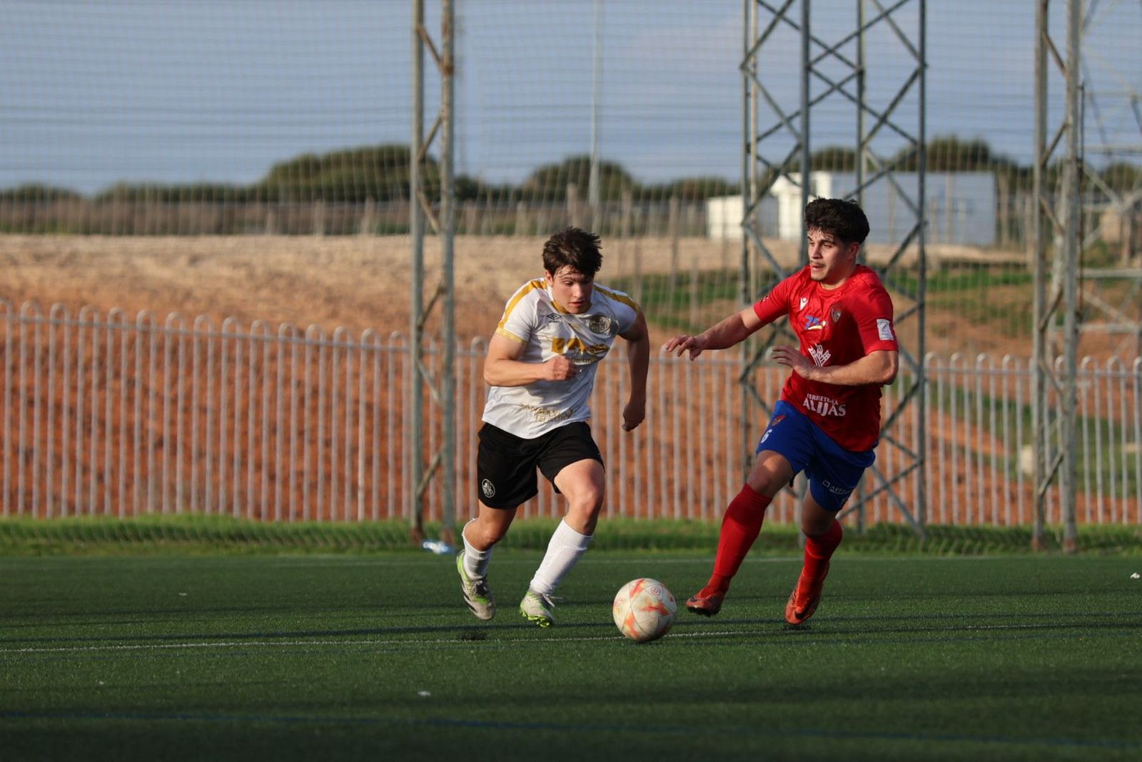 20240317182925-img-3262