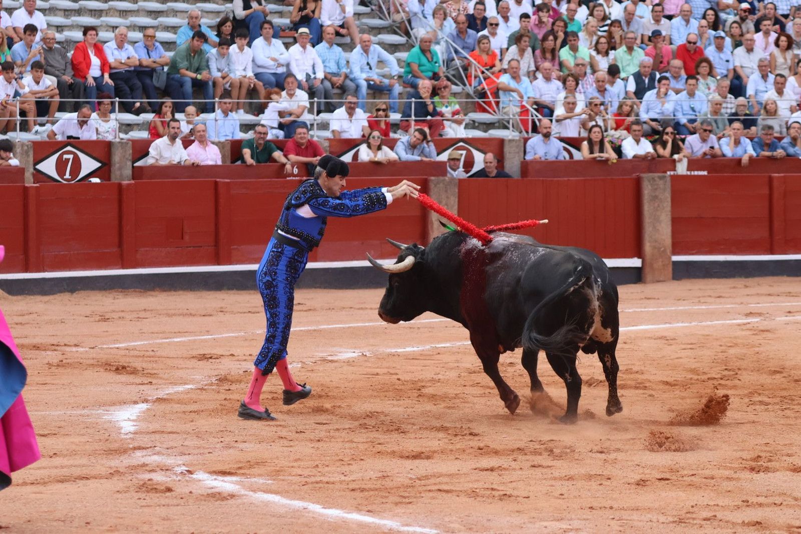 20230910185605-img-2185