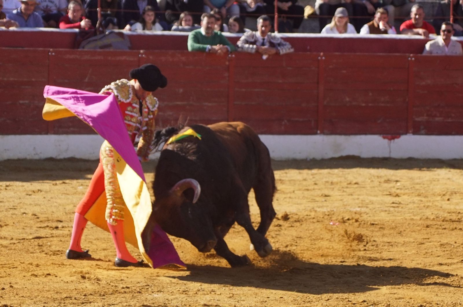 novillada-con-picadores-en-villoria-48