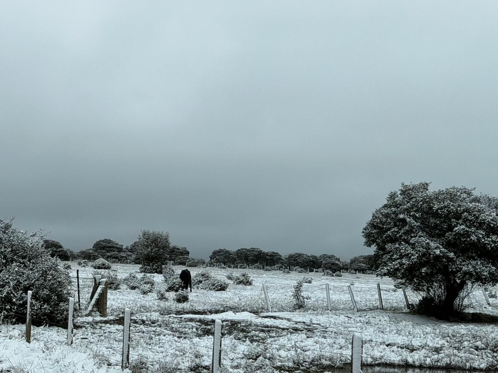 Nieve en Cuatro Calzadas, Pereña y Guijuelo este sábado