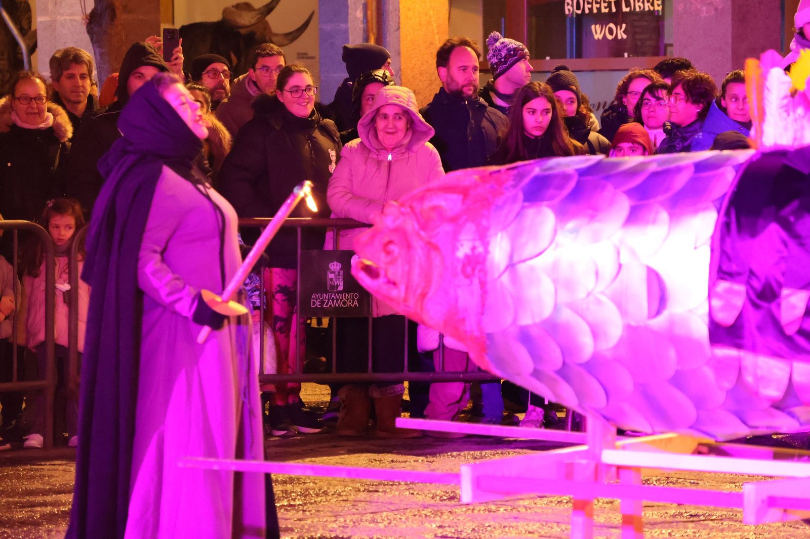 GALERÍA | Entierro de la sardina Zamora 2026