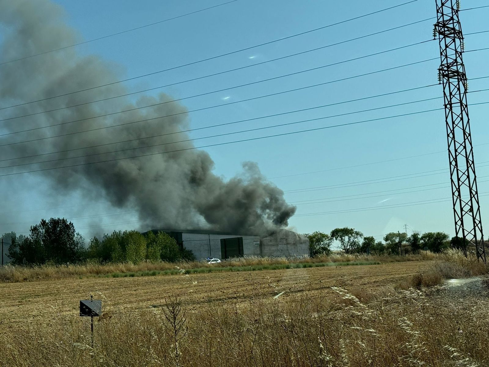 whatsapp-image-2024-08-22-at-17-44-35