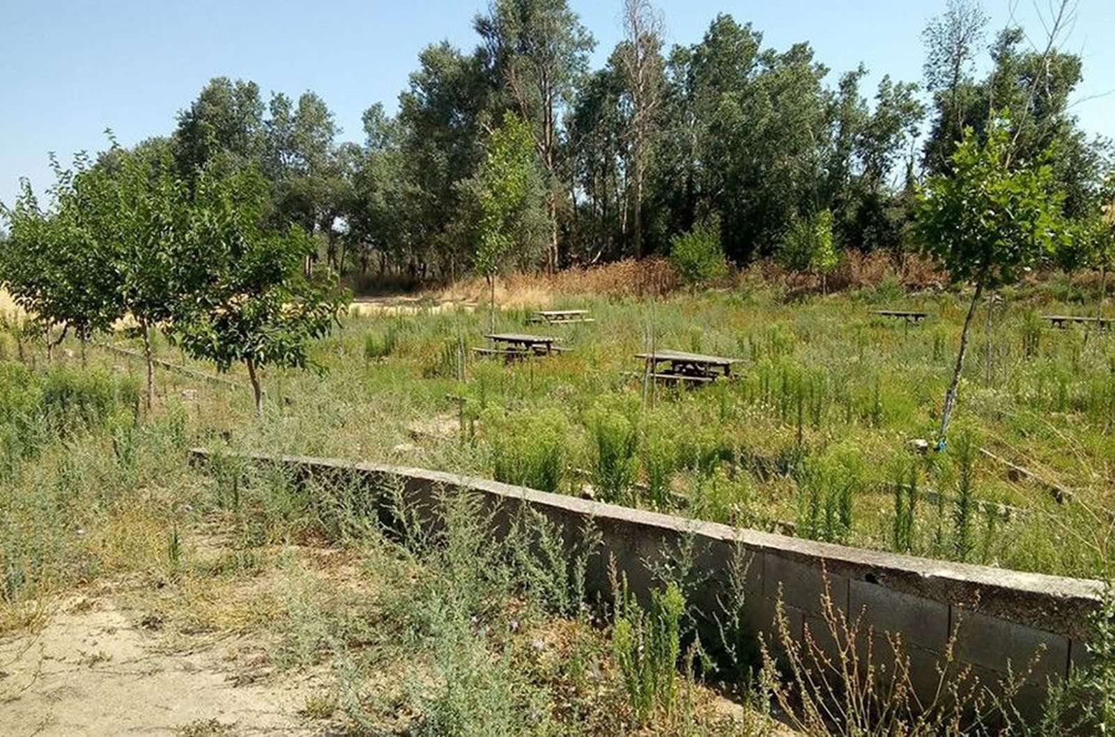 03 PSOE Entrala. Denuncia abanadono 07 08 2020