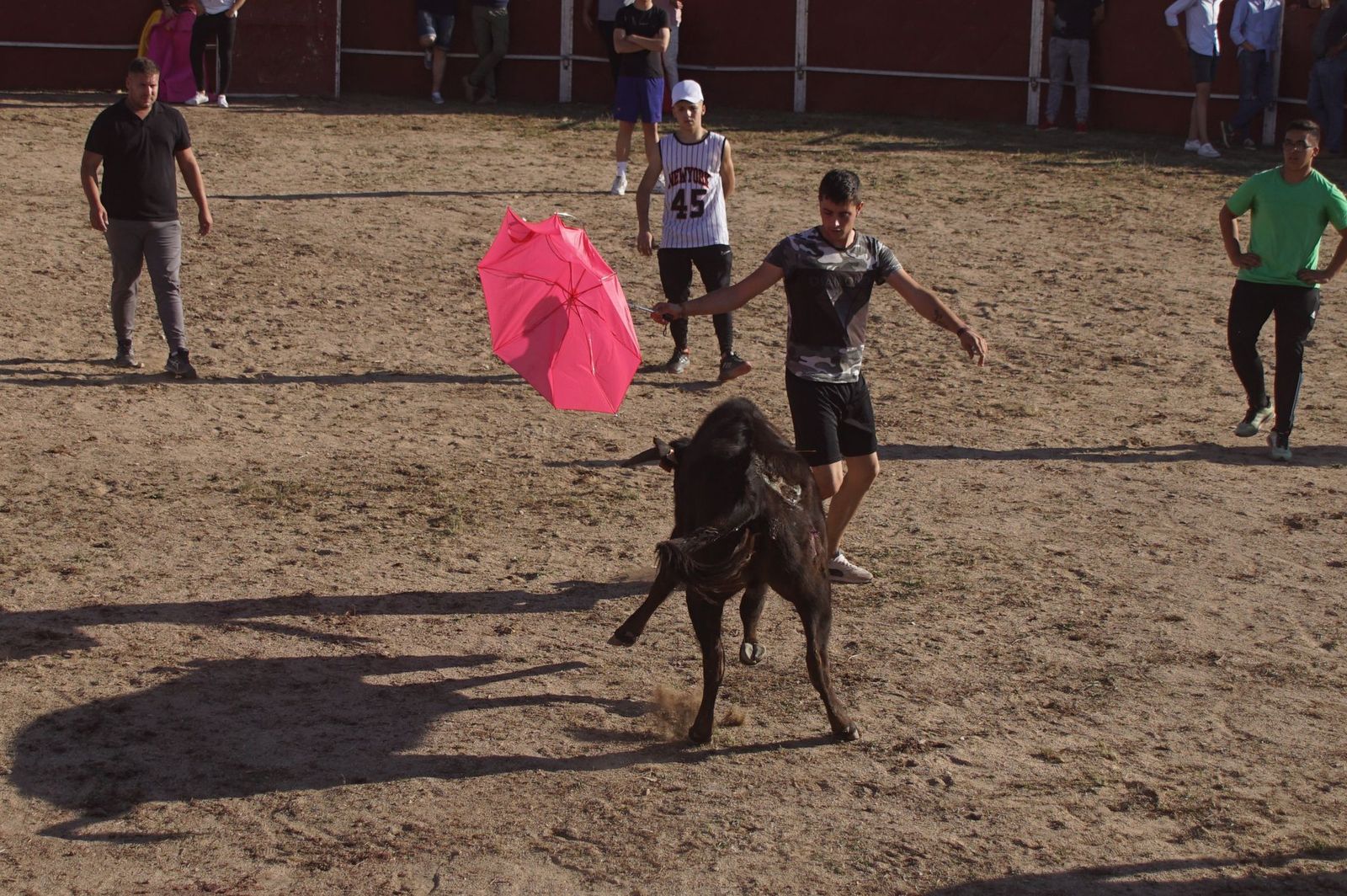 capea-fiestas-de-carrascal-de-barregas-40