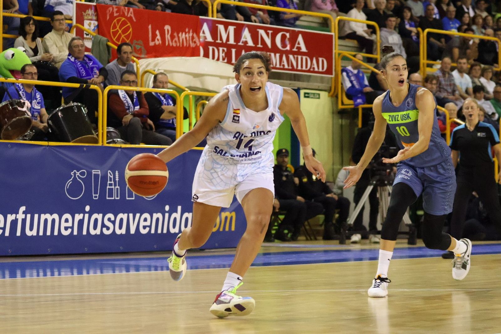 20231025200156-img-5309