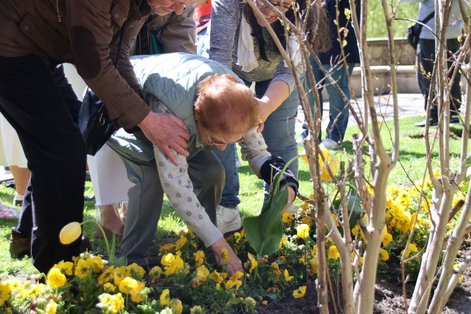 20240410121244-img-7396