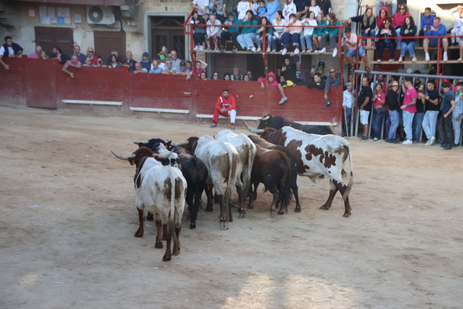 Encierro en Aldeadávila