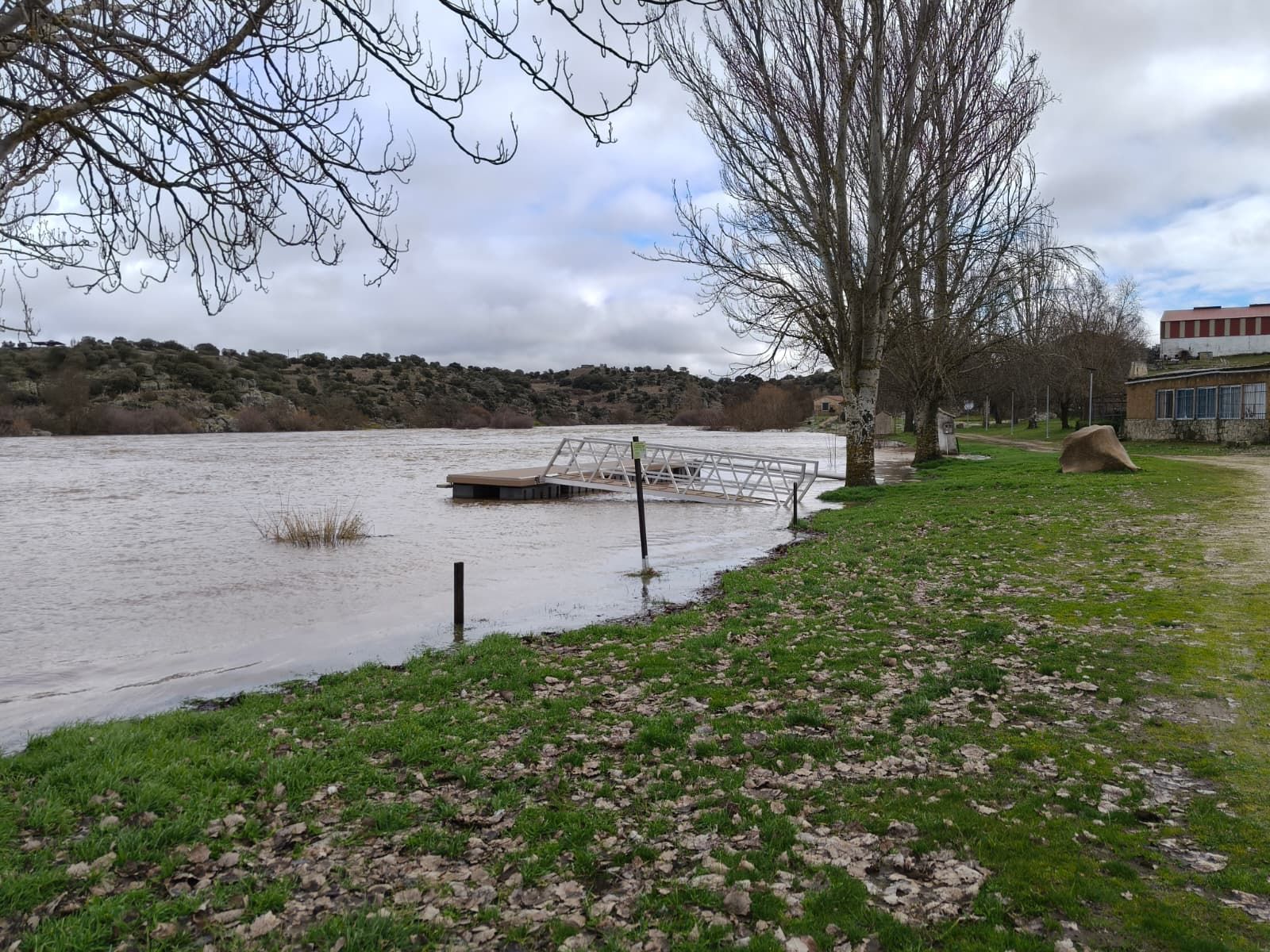 El Tormes desbordado en Ledesma  (3).jpeg
