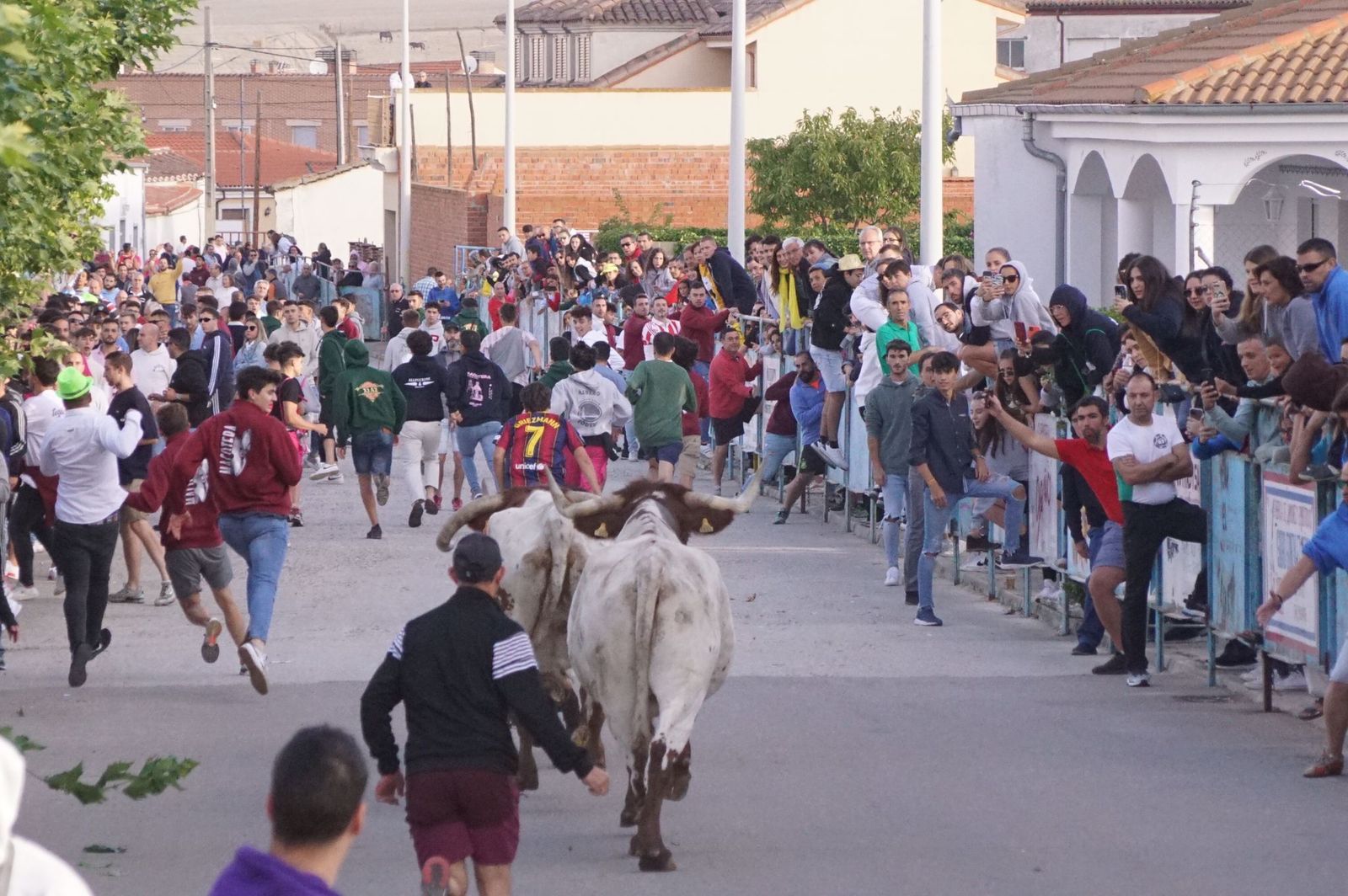 1eb8ef59-407d-421f-bd9f-04c3cb683796