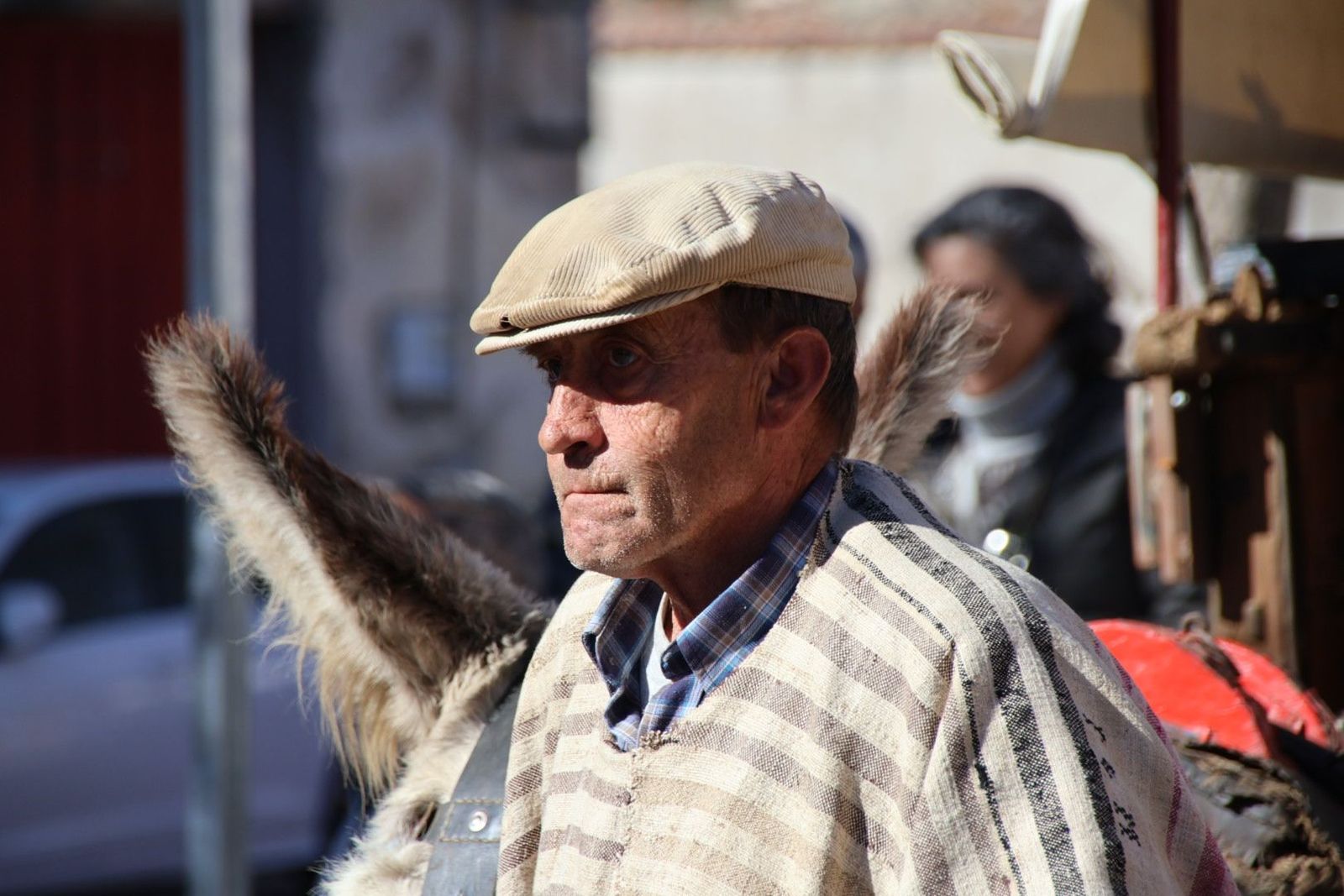 Matanza de los Arrieros en Guijuelo FOTOS | Andrea M