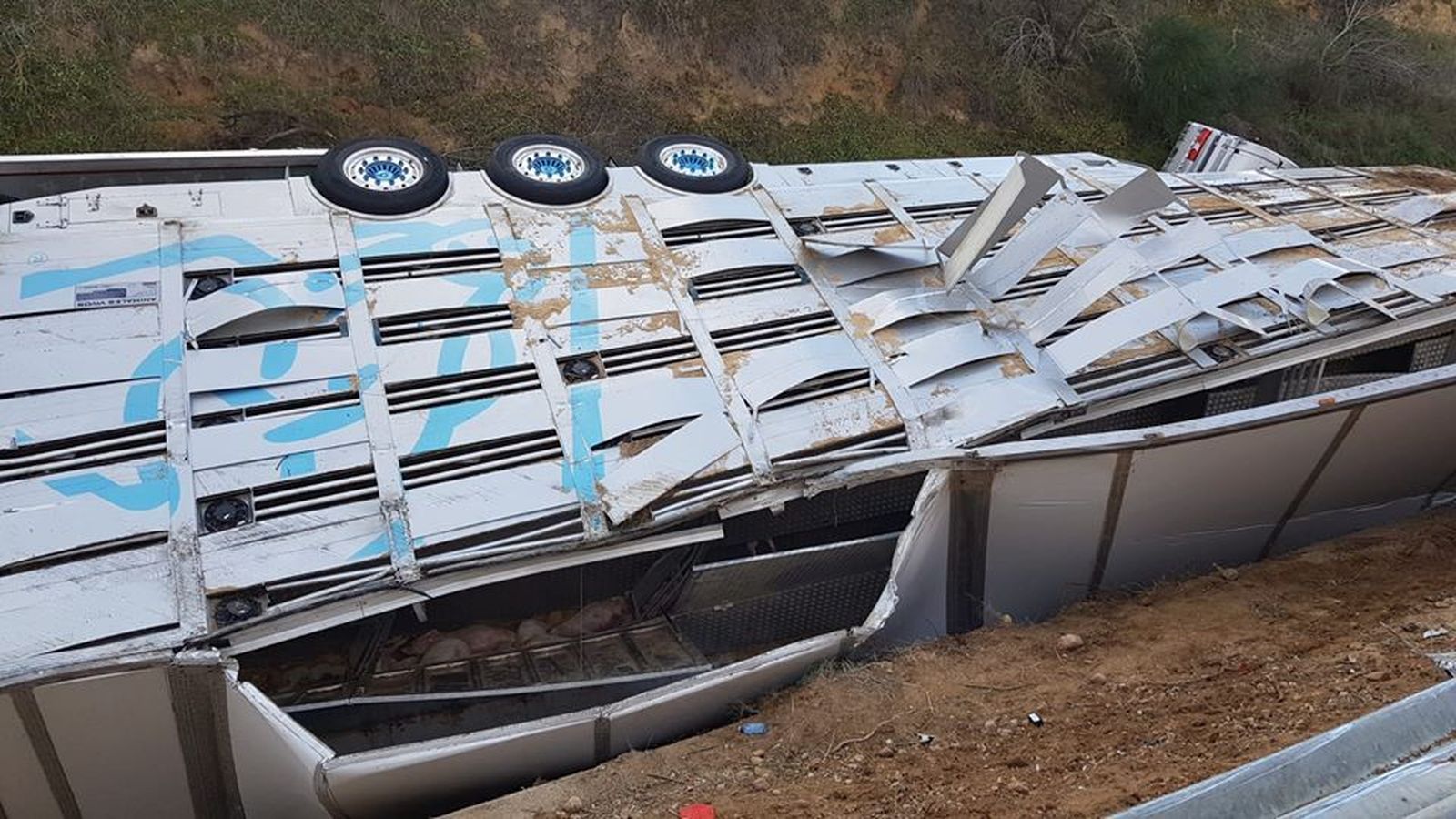 72160693 2888069434571394 8538660997542445056 o