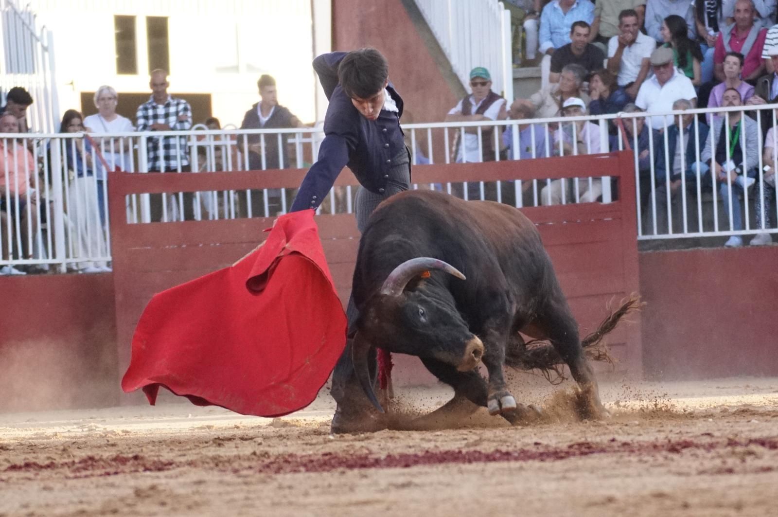 whatsapp-image-2024-09-07-at-20-49-11-3