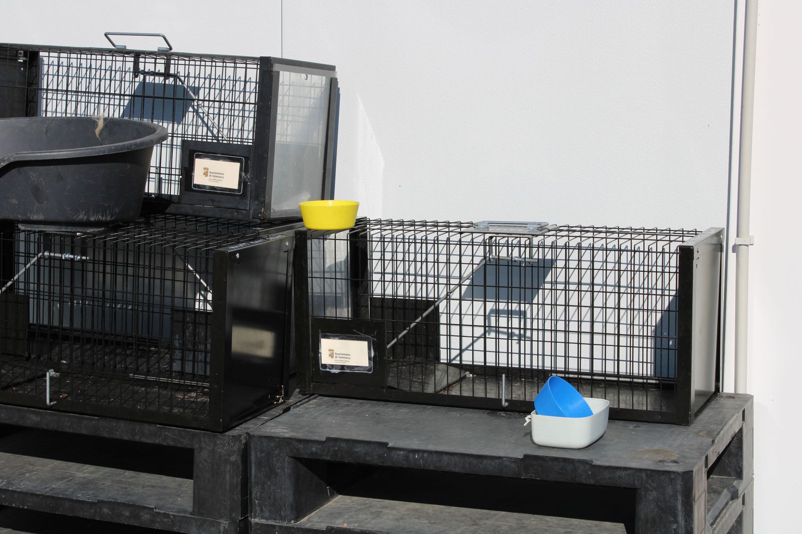 refugio-de-animales-del-ayuntamiento-de-salamanca-9