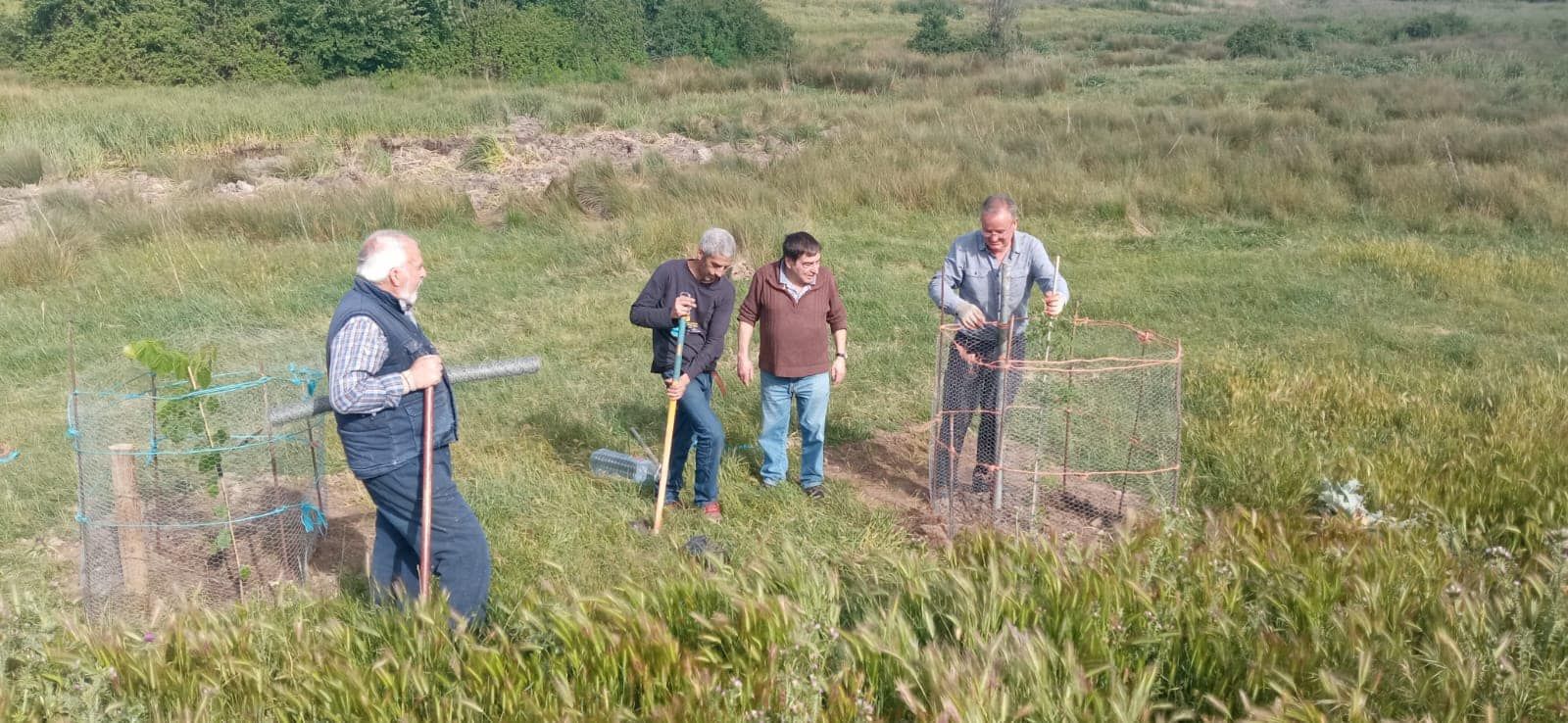 Asociación Cultural de Pontejos planta árboles