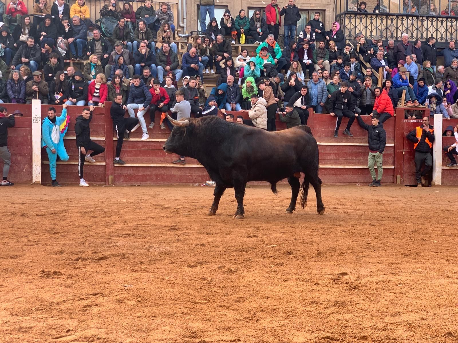 capea-matutina-del-martes-carnaval-de-ciudad-rodrigo-20