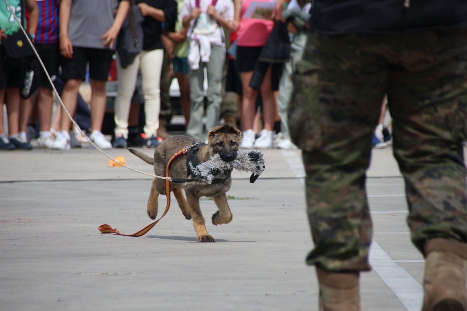 20240606110322-img-5514