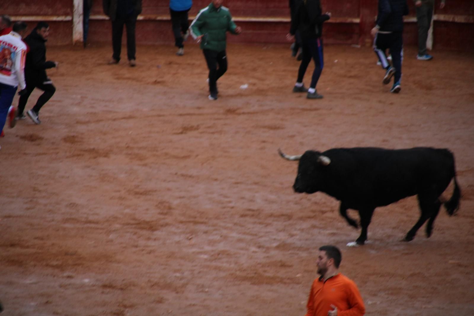 toro-del-aguardiente-en-ciudad-rodrigo-carnaval-24-13