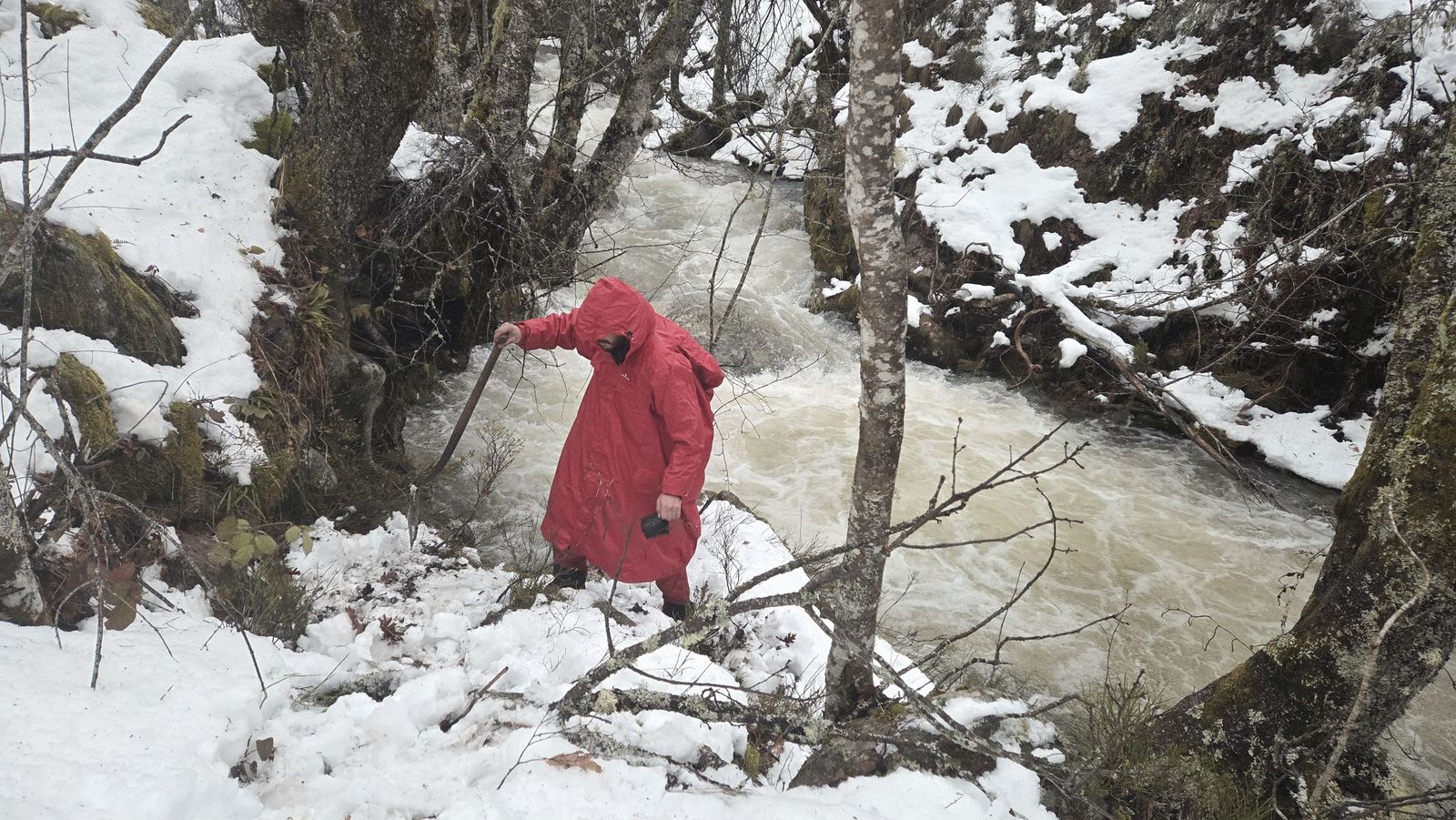 Sanabria celebra el Día Mundial de los Humedales con limpieza y reforestación