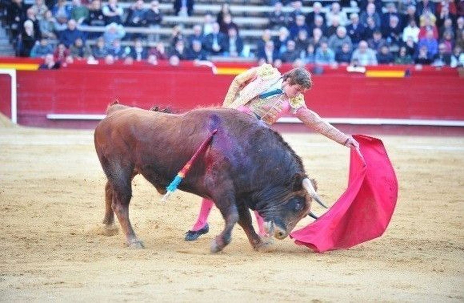 Román, ¿y este quién es, que ha triunfado en una novillada de El Parralejo?