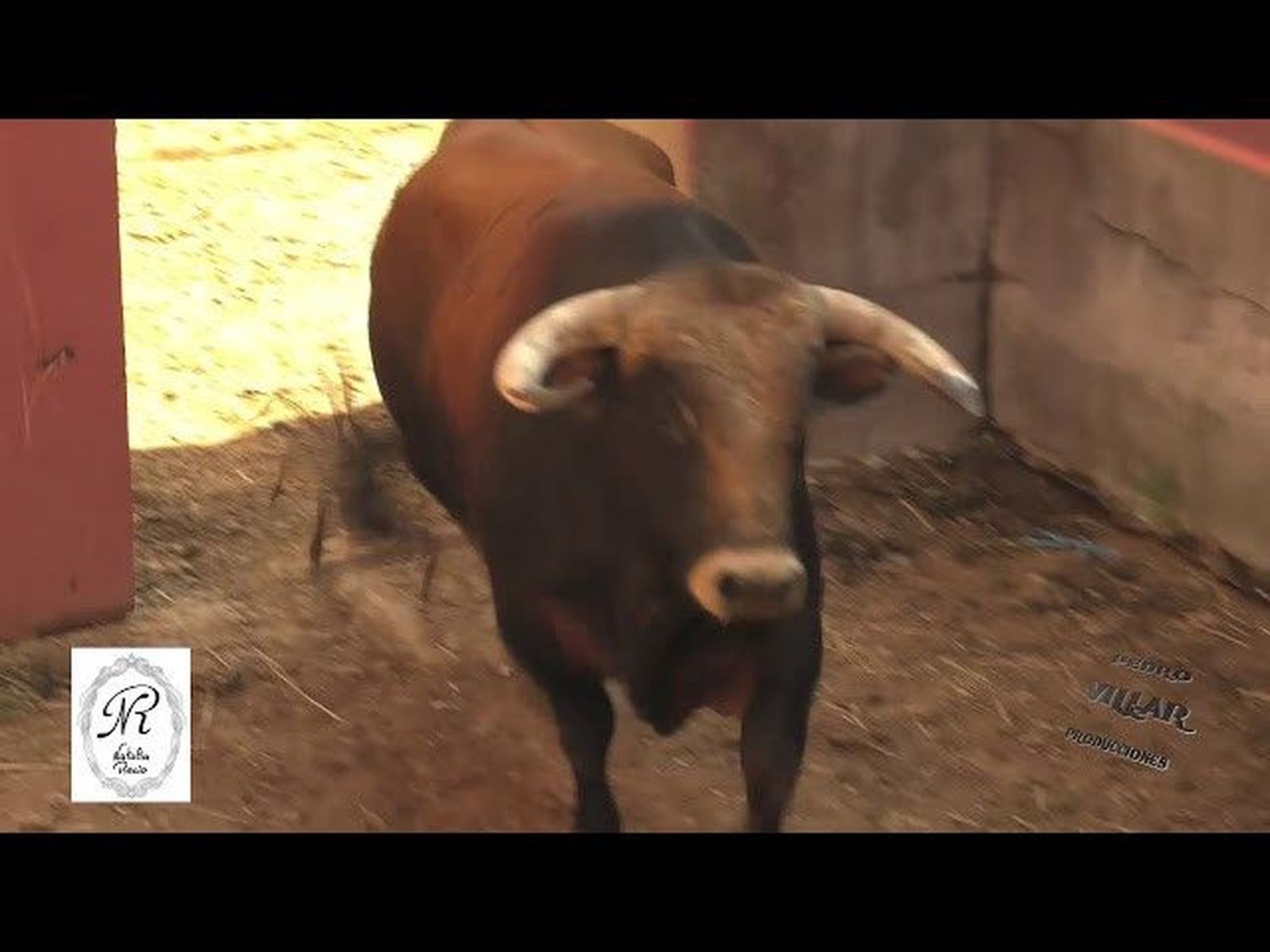 Aparatado de Garcigrande y Domingo Hernández, Para Ponce, Juli, Roca Rey