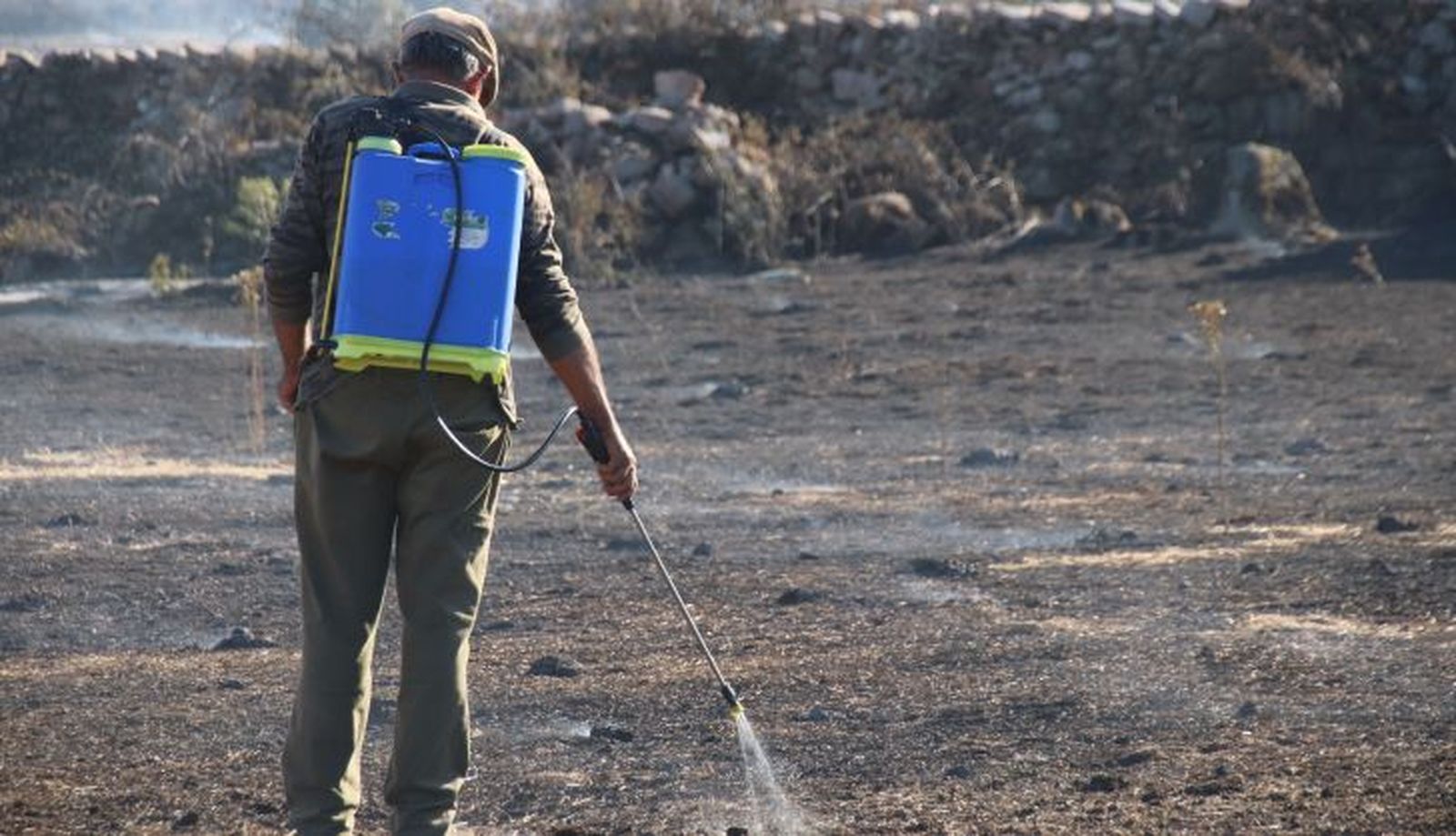 incendio San Felices de los Gallegos (337)