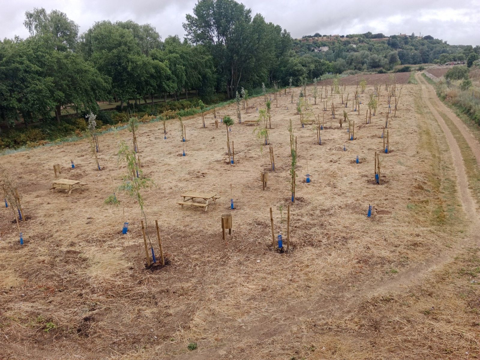 Finalizan las obras de renaturalización en el entorno de Olivares